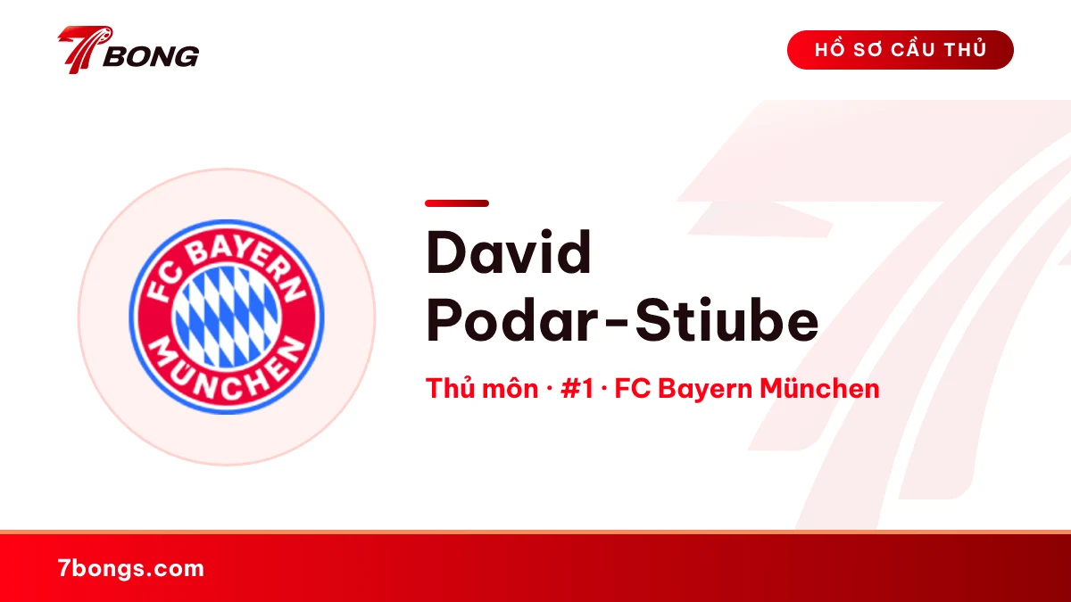 David Podar-Stiube — FC Bayern München