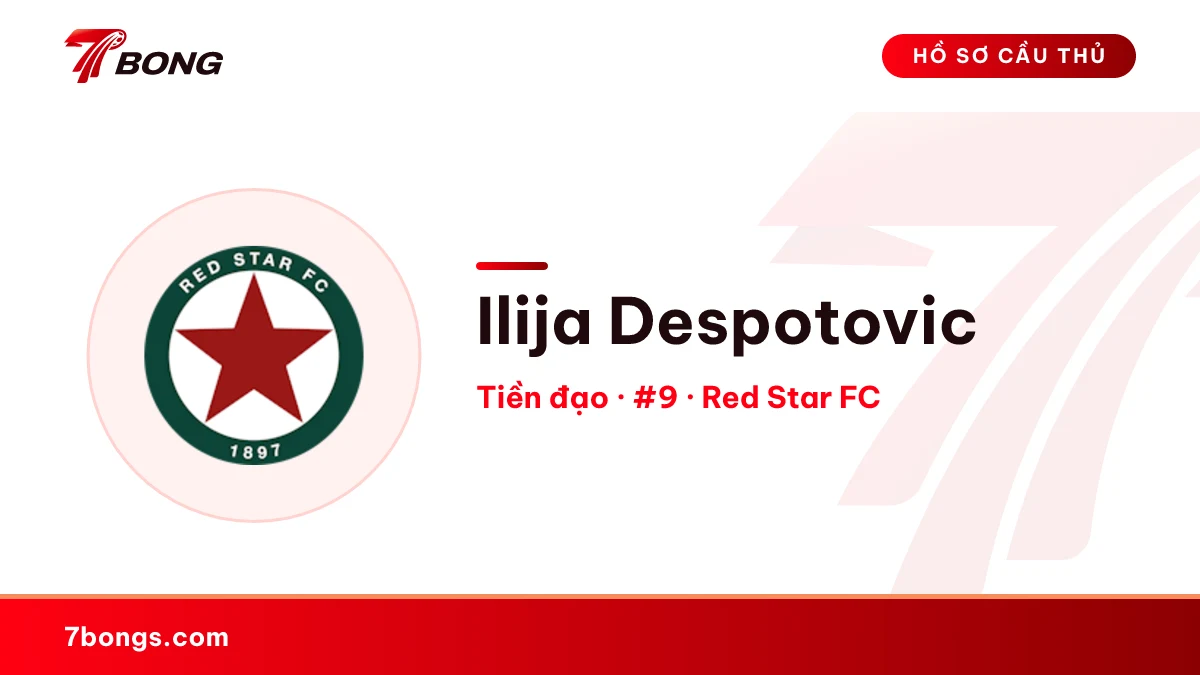 Ilija Despotovic — Red Star FC