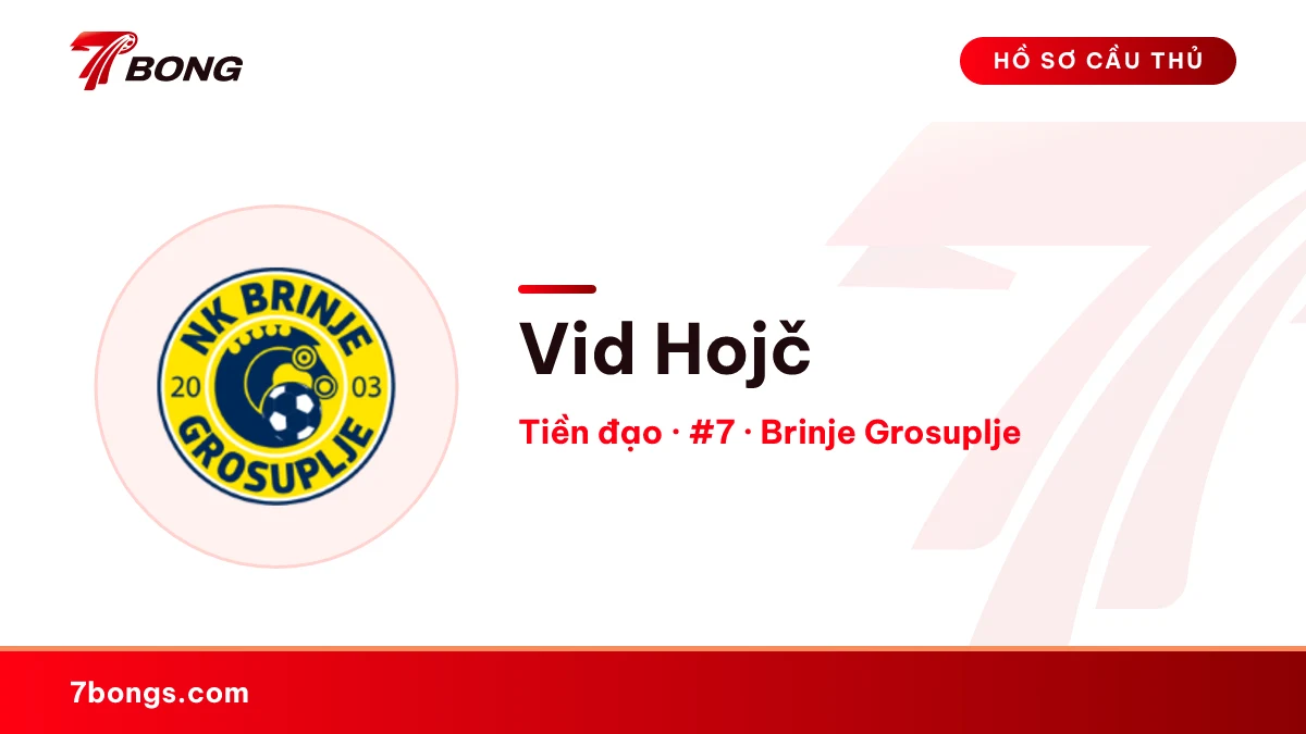 Vid Hojč — Brinje Grosuplje