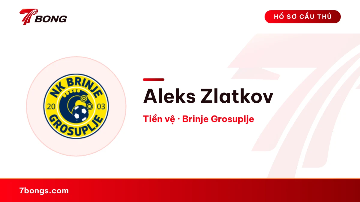 Aleks Zlatkov — Brinje Grosuplje