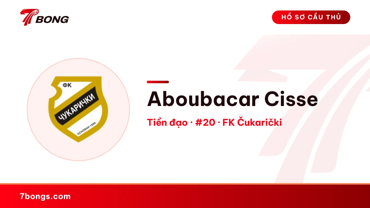 Aboubacar Cisse — FK Čukarički