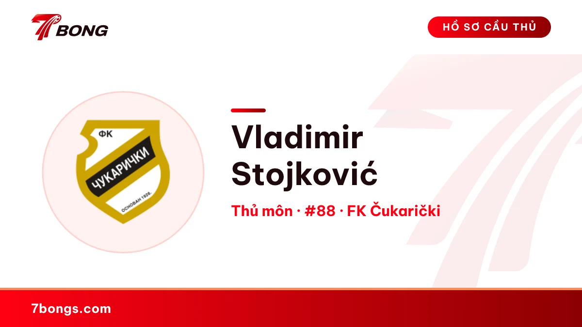 Vladimir Stojković — FK Čukarički