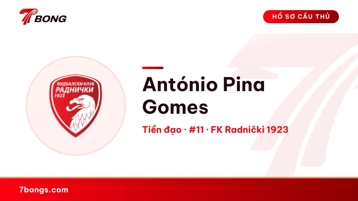 António Pina Gomes — FK Radnički 1923