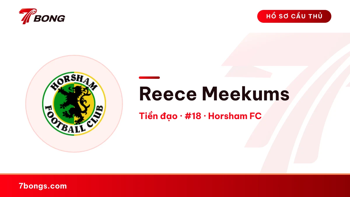 Reece Meekums — Horsham FC