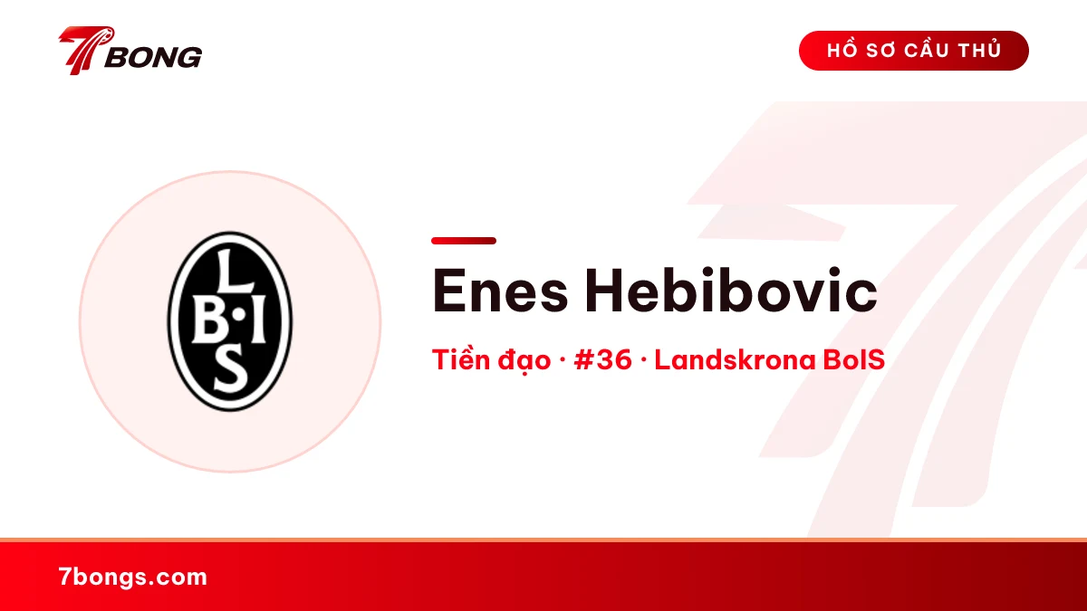 Enes Hebibovic — Landskrona BoIS