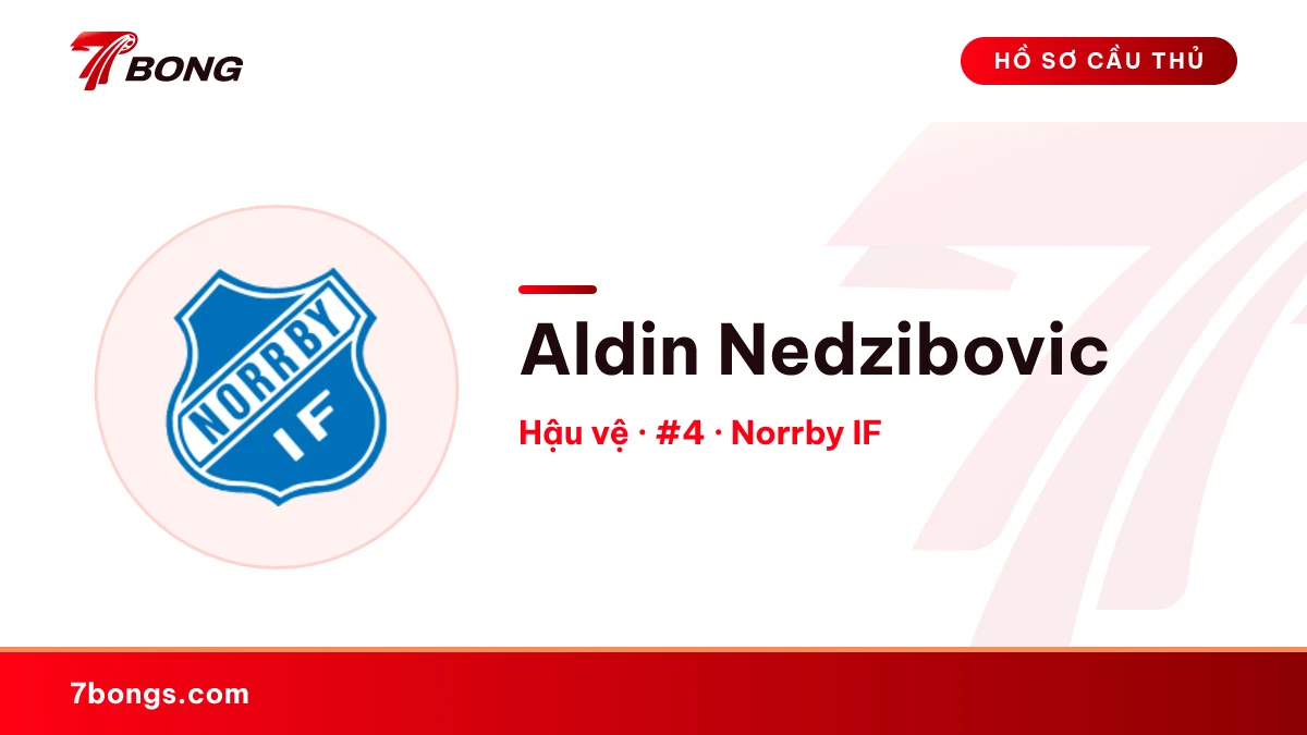 Aldin Nedzibovic — Norrby IF