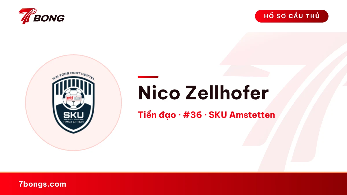 Nico Zellhofer — SKU Amstetten