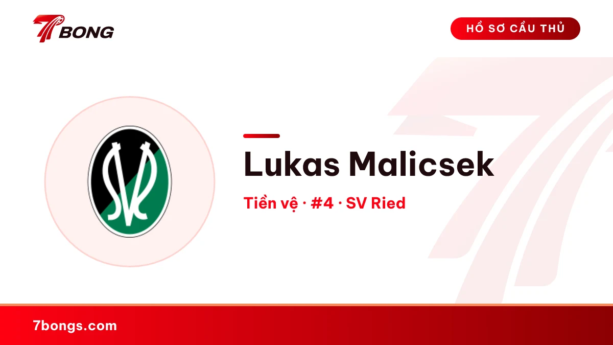 Lukas Malicsek — SV Ried