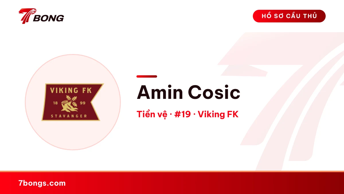 Amin Cosic — Viking FK