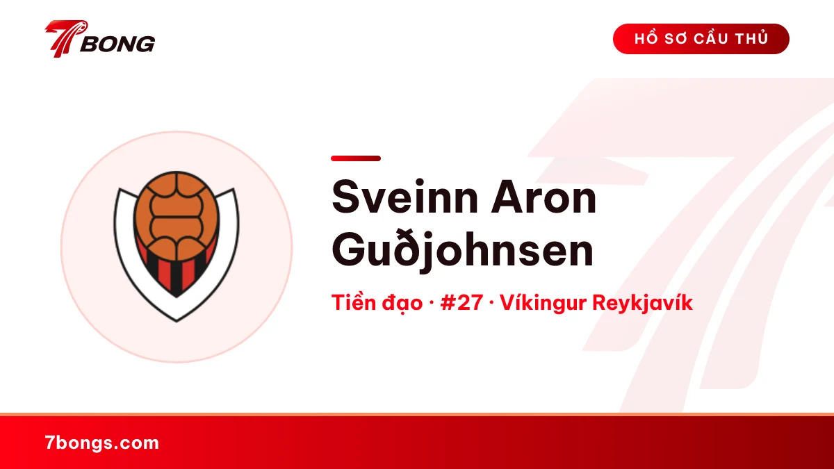 Sveinn Aron Guðjohnsen — Víkingur Reykjavík