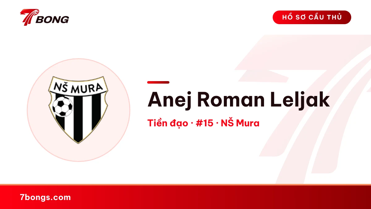 Anej Roman Leljak — NŠ Mura