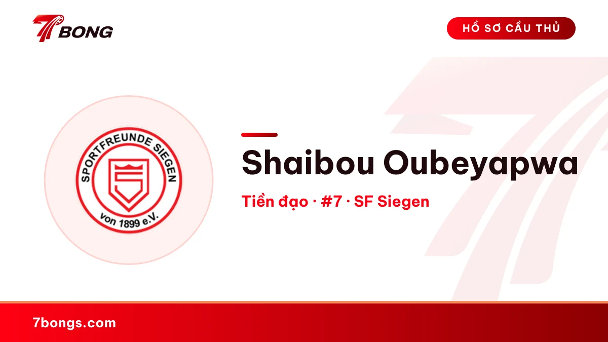 Shaibou Oubeyapwa — SF Siegen