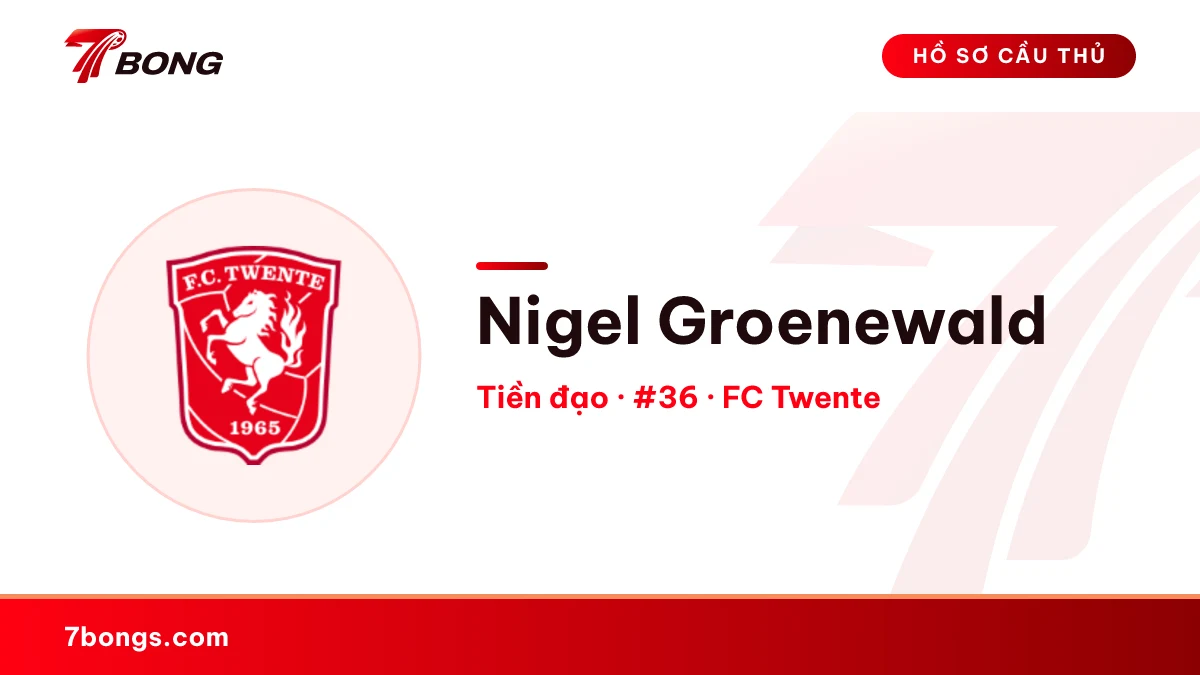 Nigel Groenewald — FC Twente