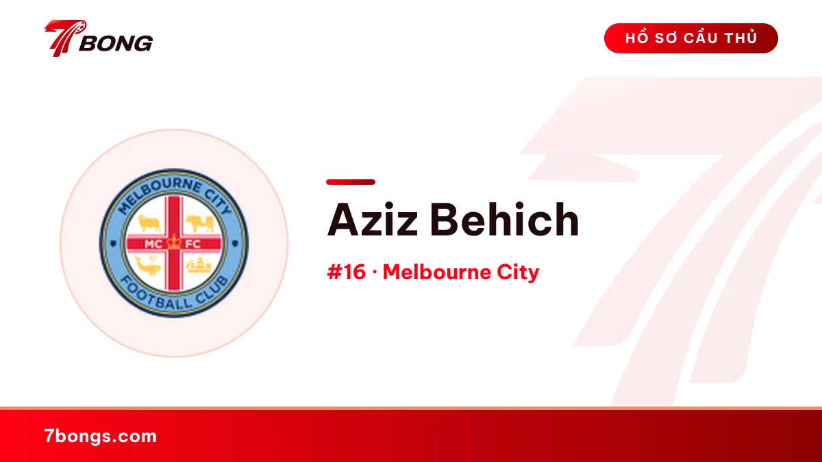 Aziz Behich — Melbourne City