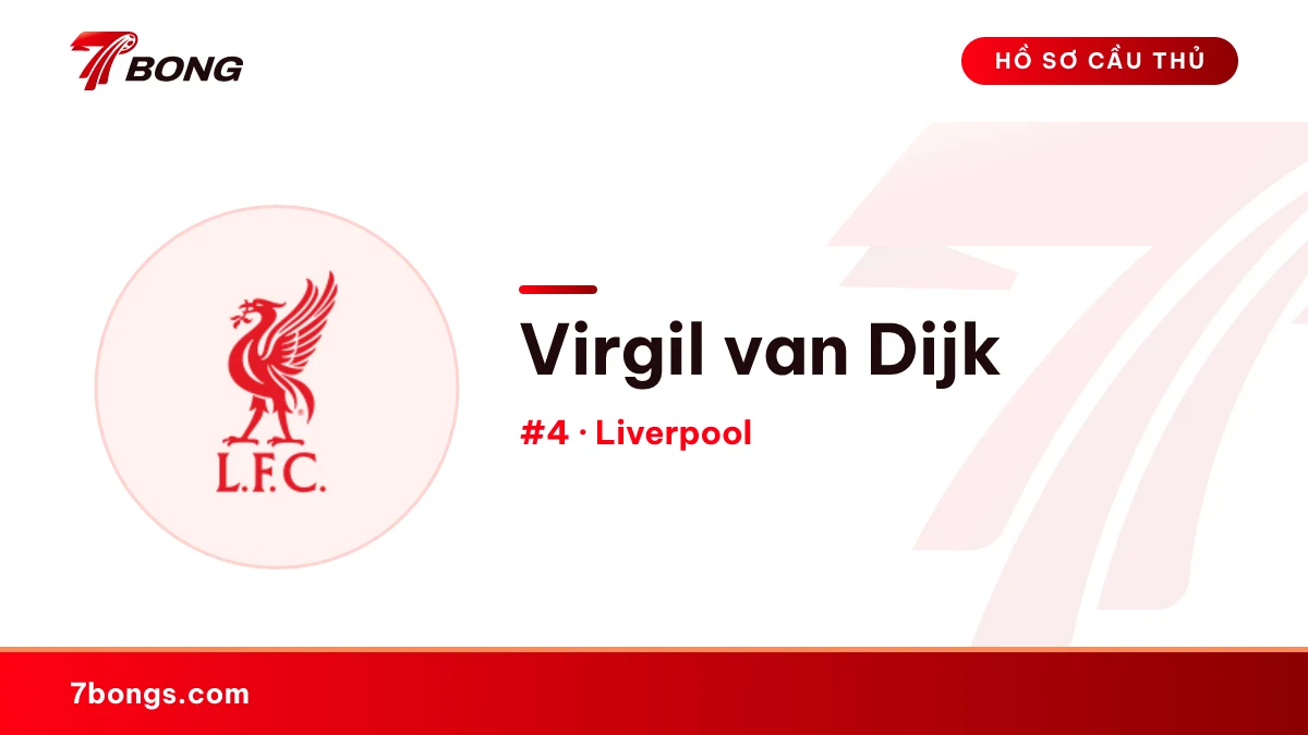 Virgil van Dijk — Liverpool
