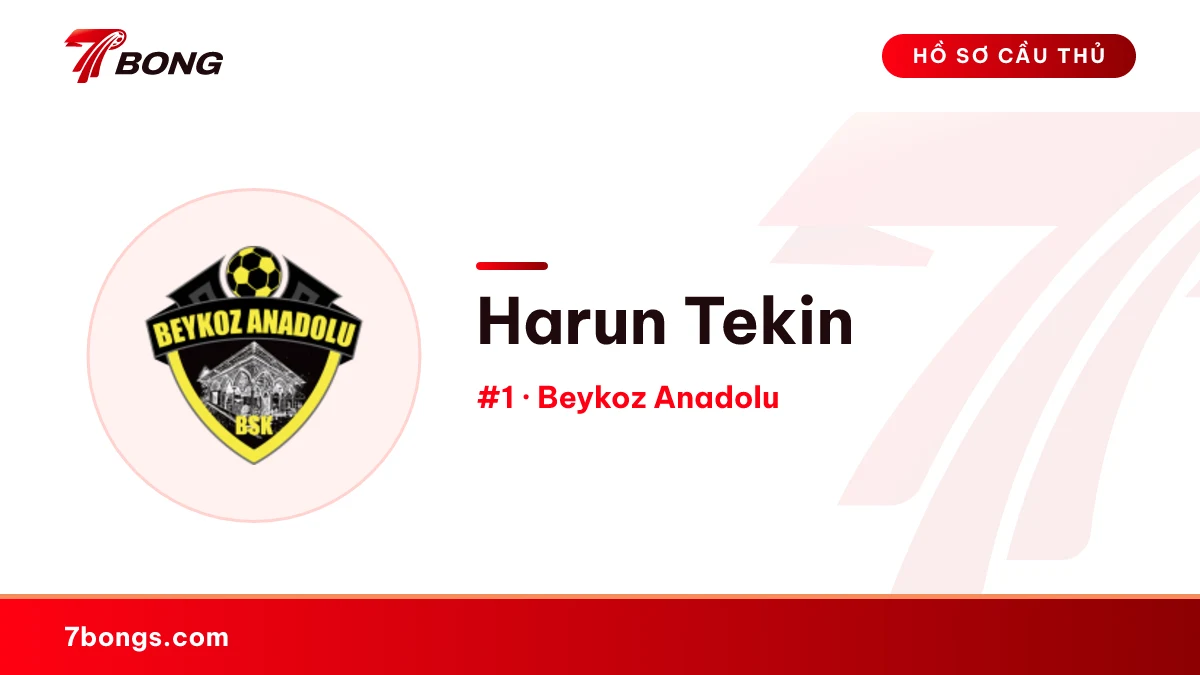 Harun Tekin — Beykoz Anadolu