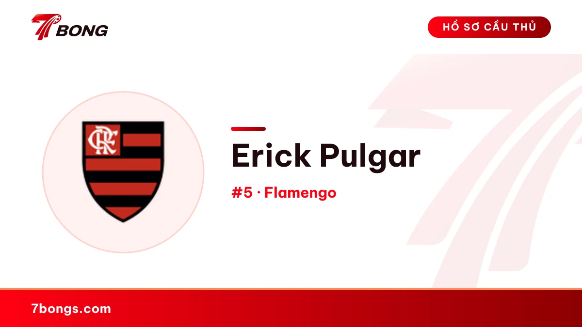 Erick Pulgar — Flamengo