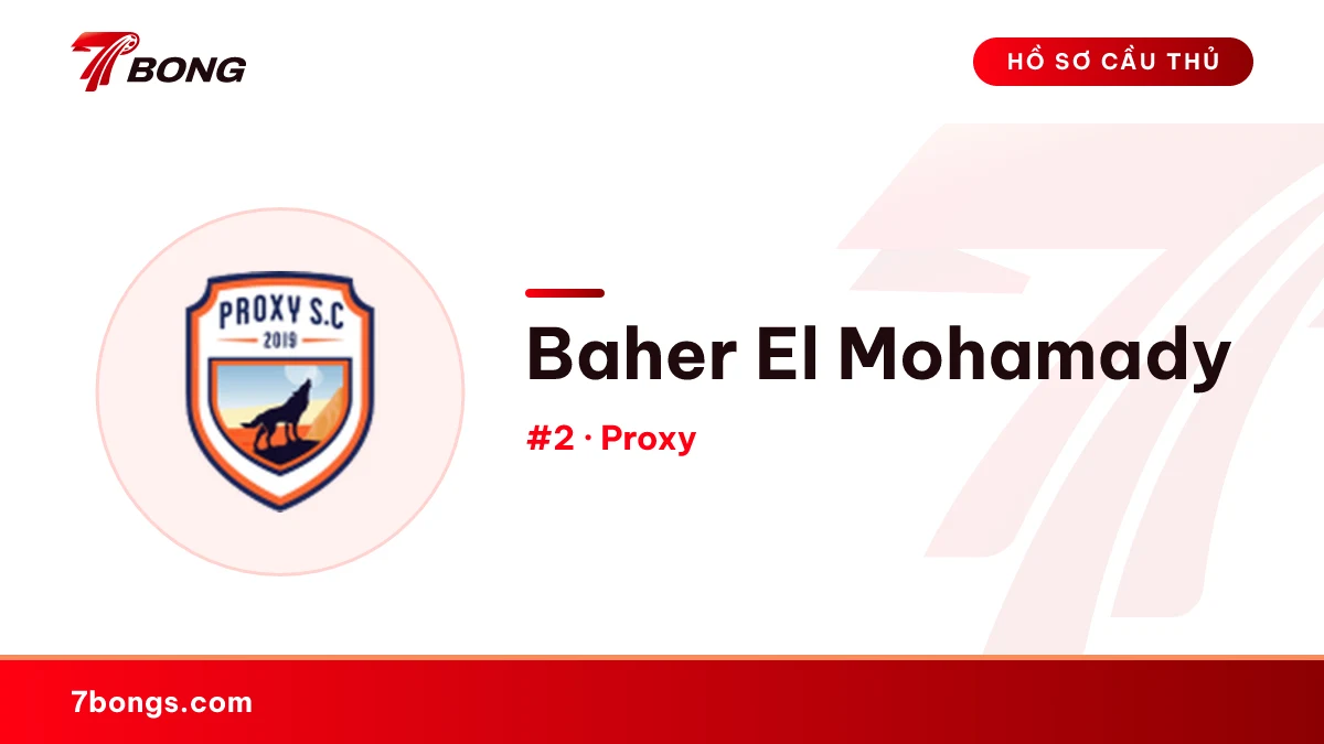 Baher El Mohamady — Proxy