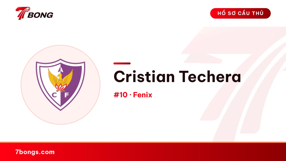 Cristian Techera — Fenix