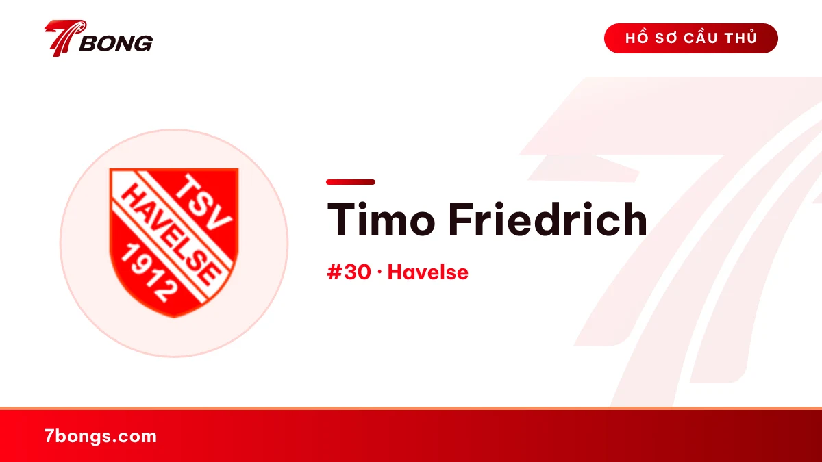 Timo Friedrich — Havelse
