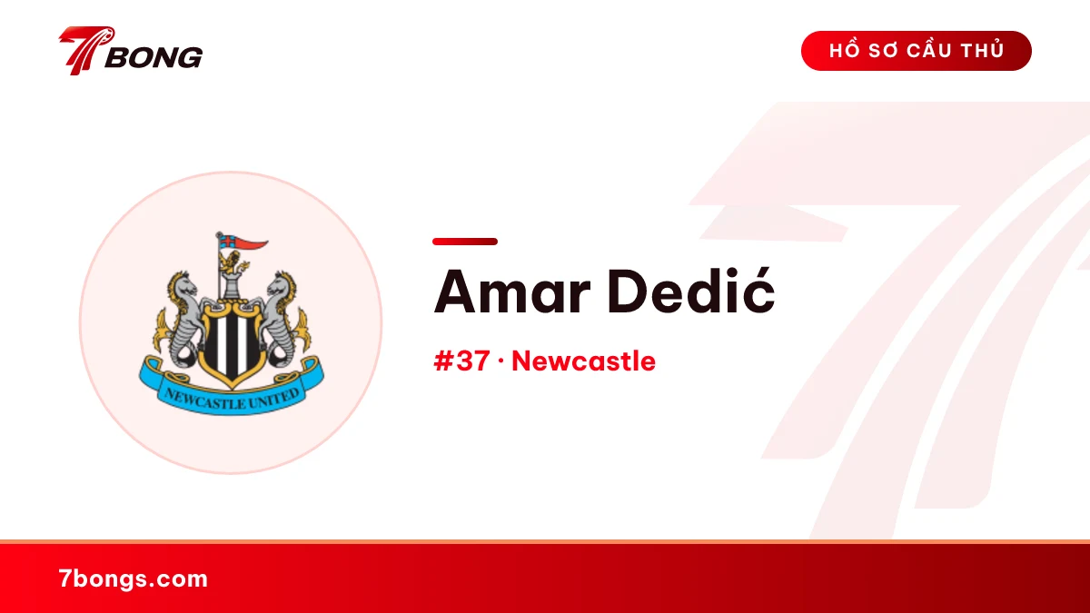 Amar Dedić — Newcastle