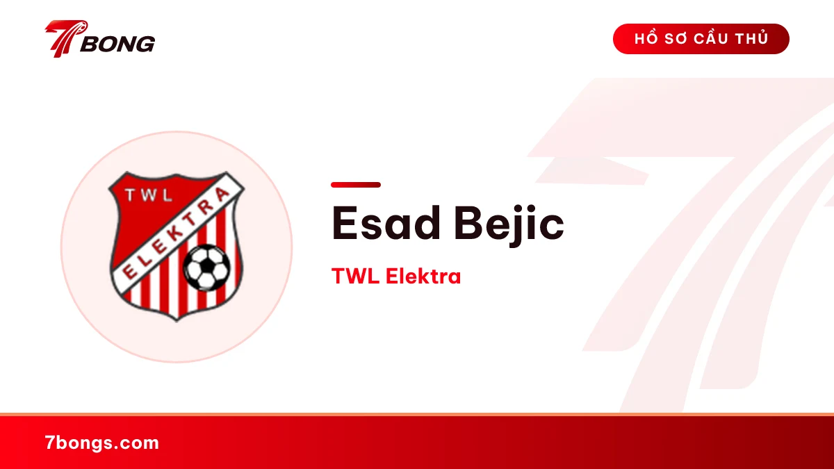 Esad Bejic — TWL Elektra