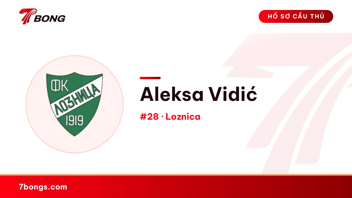 Aleksa Vidić — Loznica