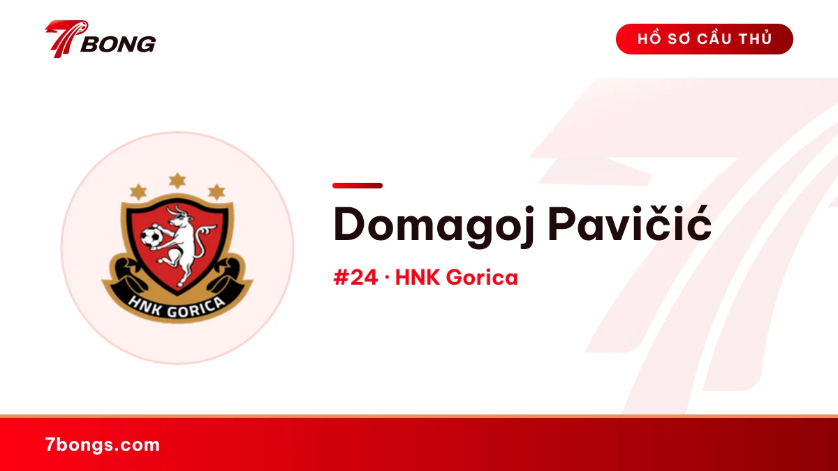 Domagoj Pavičić — HNK Gorica