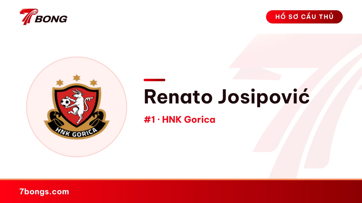 Renato Josipović — HNK Gorica