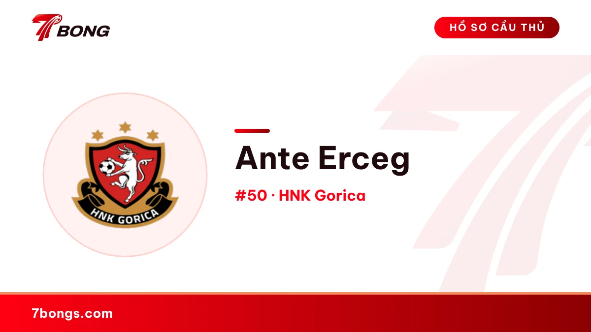 Ante Erceg — HNK Gorica