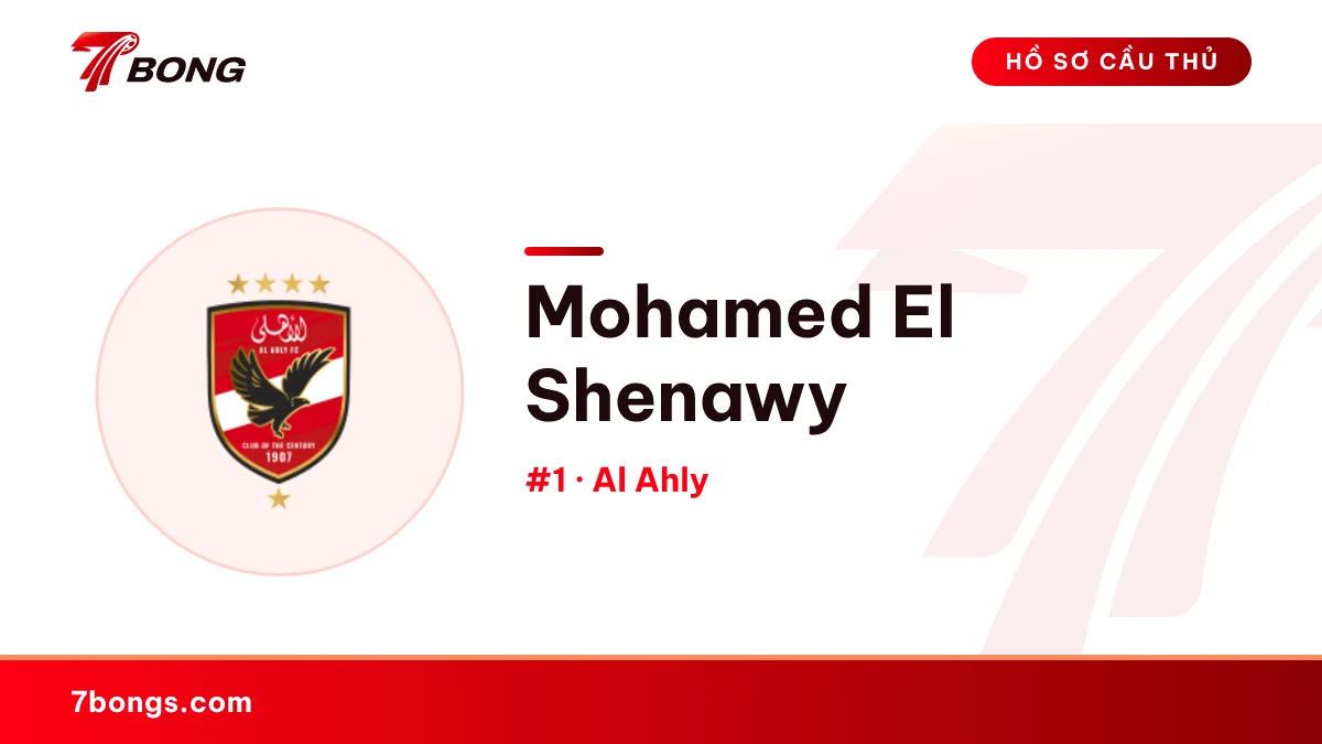 Mohamed El Shenawy — Al Ahly