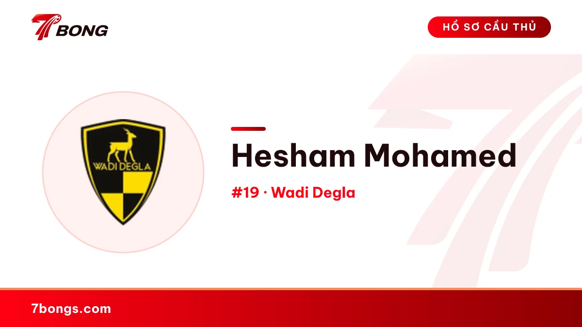 Hesham Mohamed — Wadi Degla