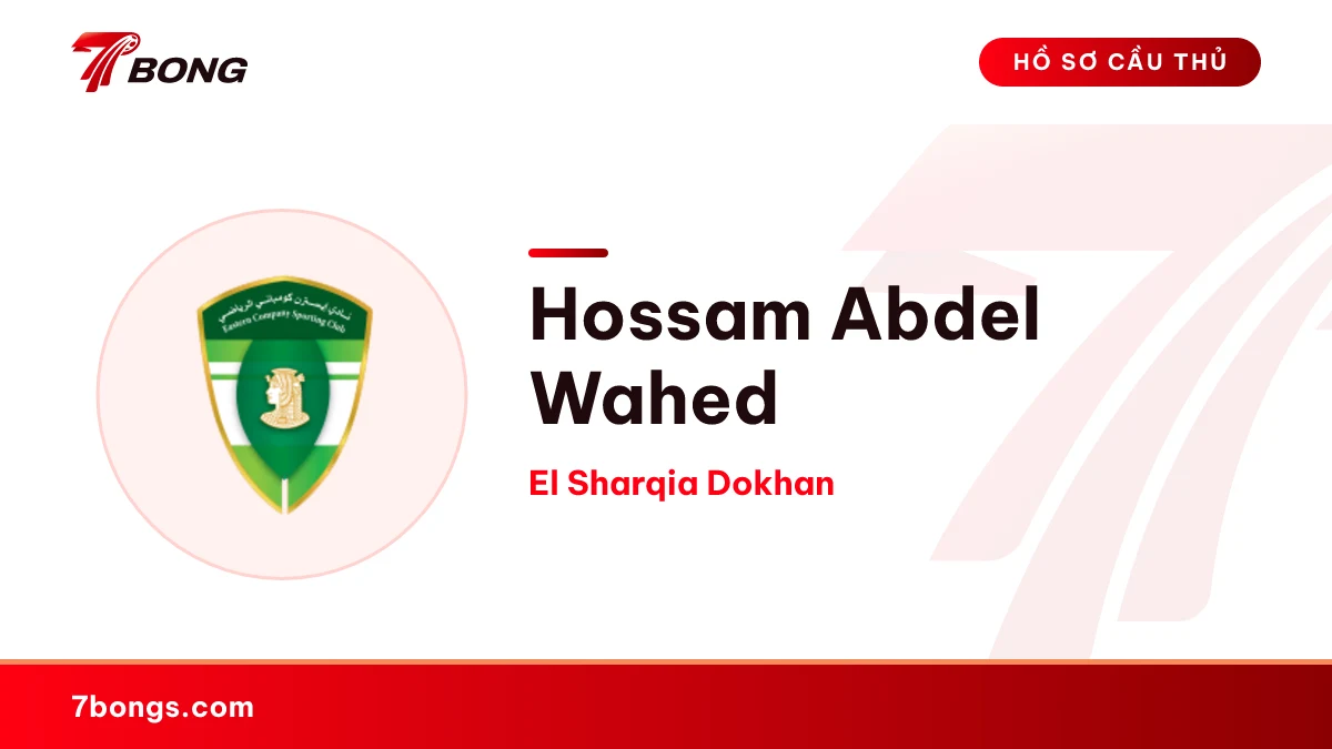 Hossam Abdel Wahed — El Sharqia Dokhan
