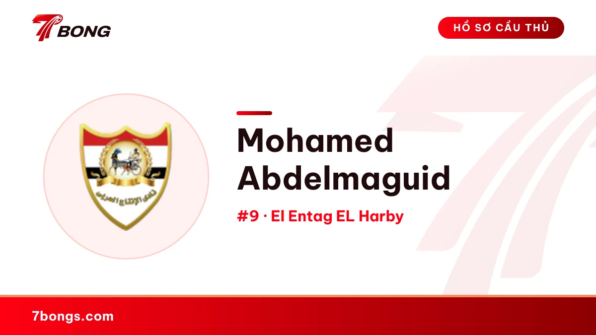 Mohamed Abdelmaguid — El Entag EL Harby