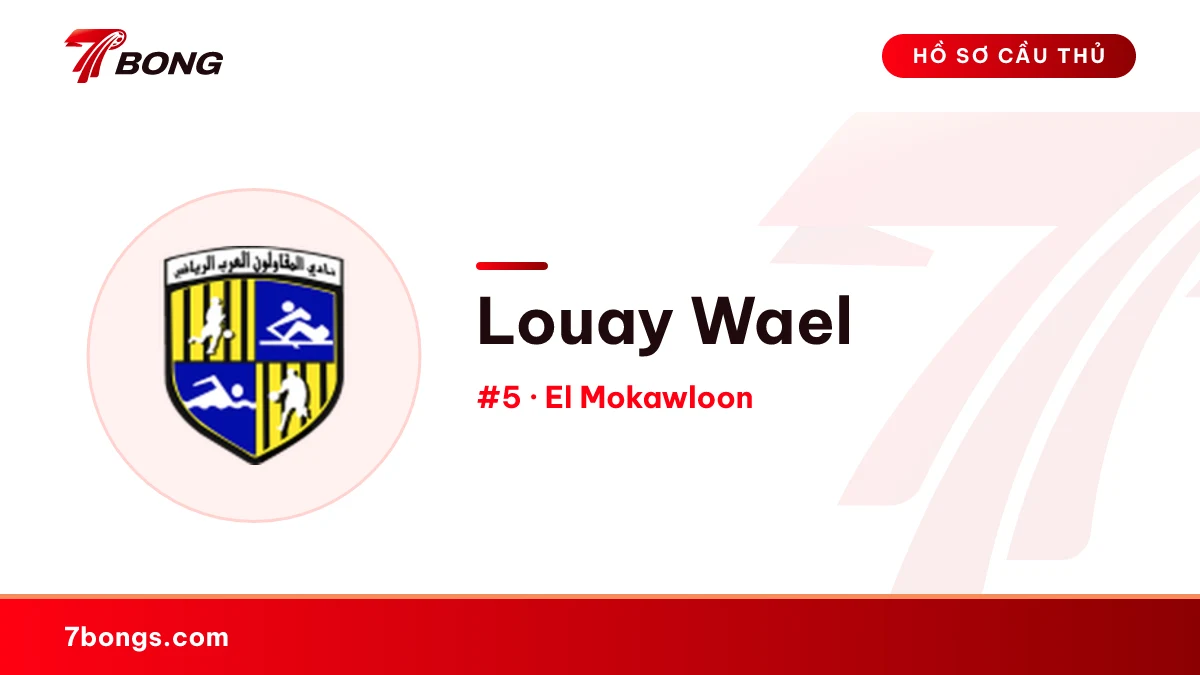 Louay Wael — El Mokawloon
