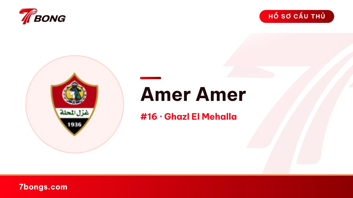 Amer Amer — Ghazl El Mehalla