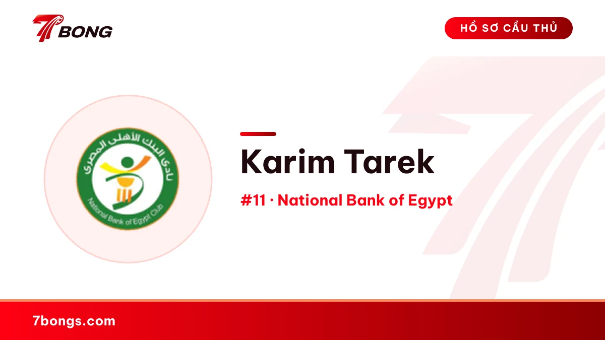 Karim Tarek — National Bank of Egypt