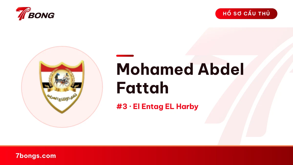 Mohamed Abdel Fattah — El Entag EL Harby