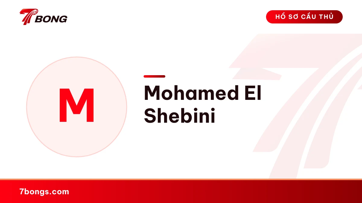 Mohamed El Shebini