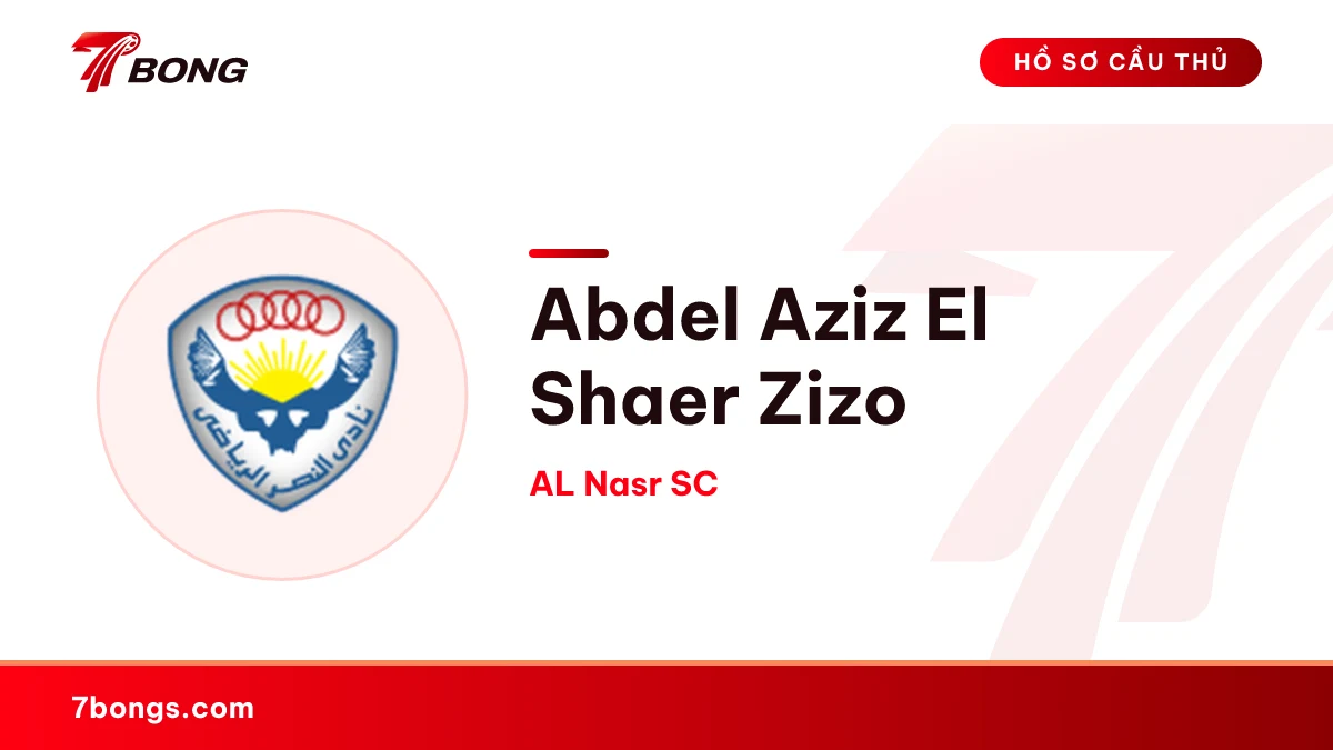 Abdel Aziz El Shaer Zizo — AL Nasr SC