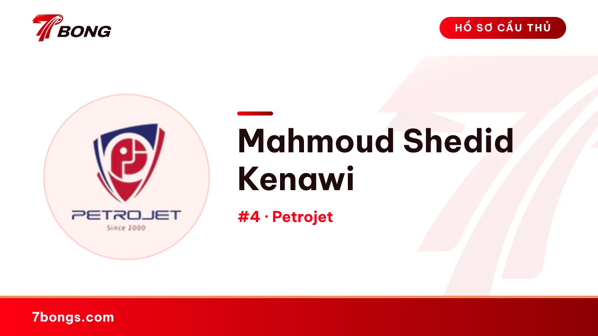Mahmoud Shedid Kenawi — Petrojet