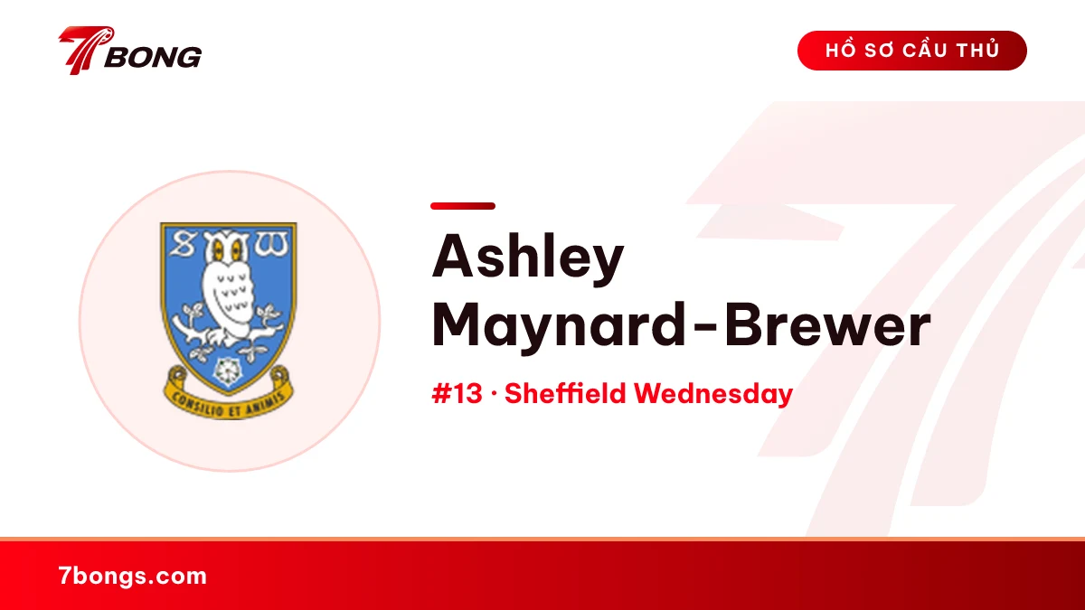 Ashley Maynard-Brewer — Sheffield Wednesday