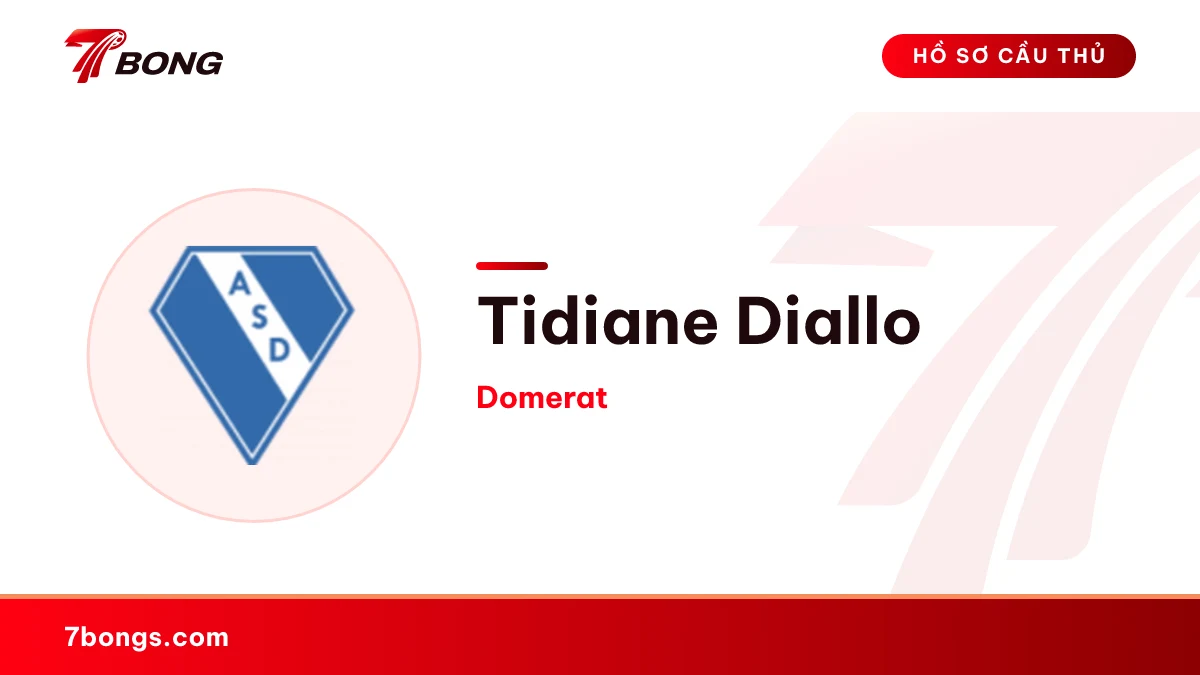 Tidiane Diallo — Domerat
