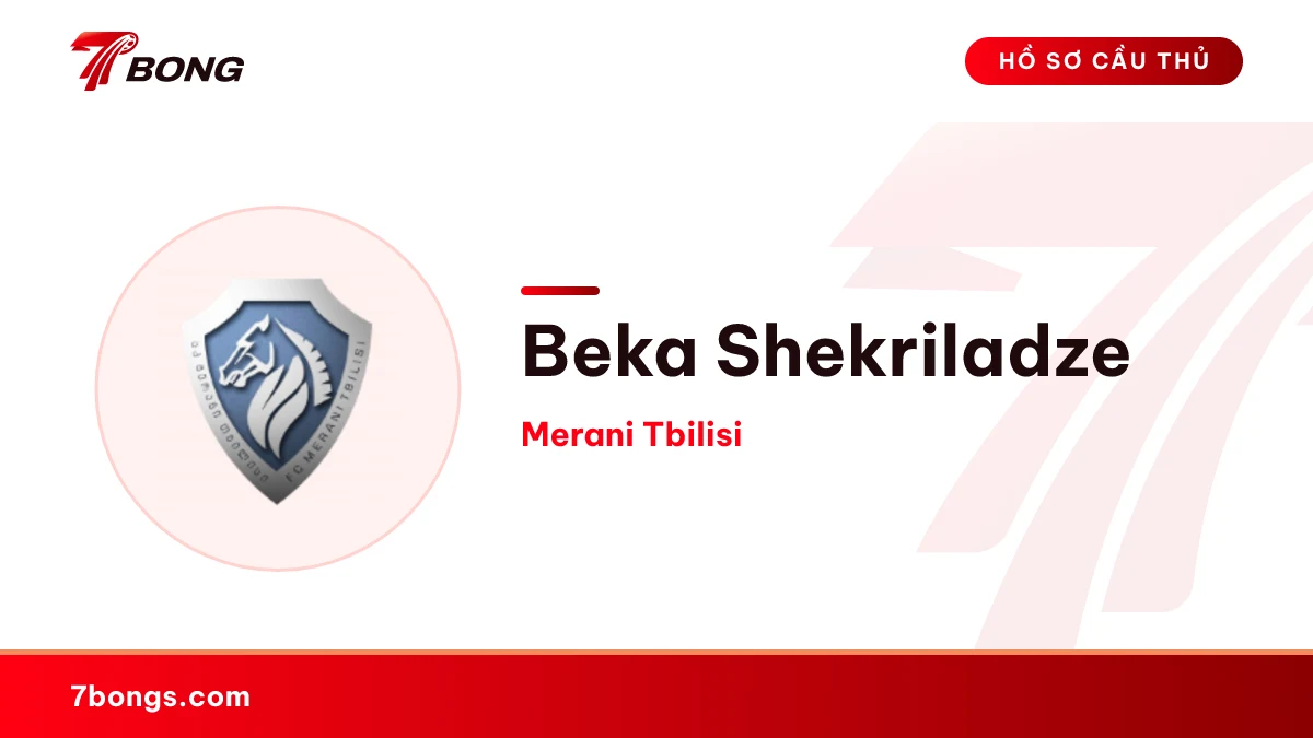 Beka Shekriladze — Merani Tbilisi