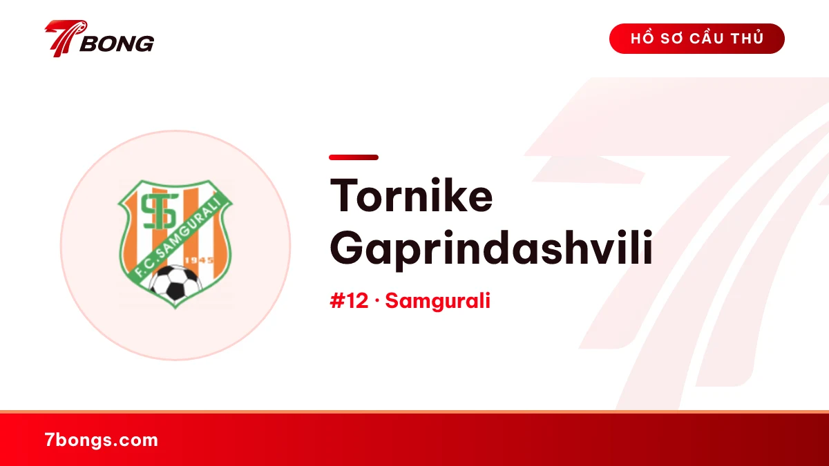 Tornike Gaprindashvili — Samgurali