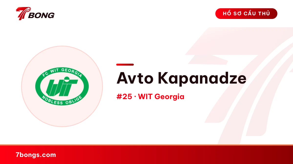 Avto Kapanadze — WIT Georgia