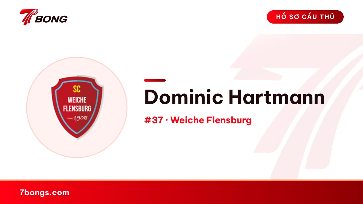 Dominic Hartmann — Weiche Flensburg