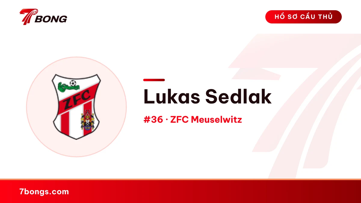 Lukas Sedlak — ZFC Meuselwitz
