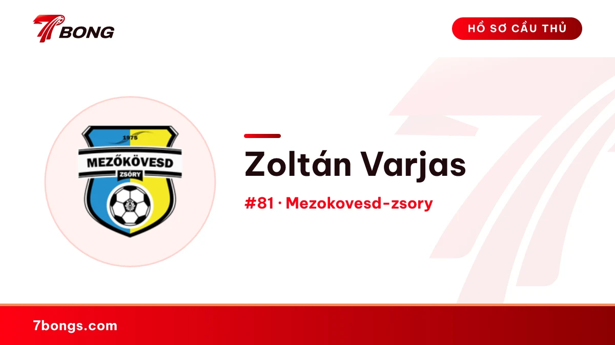 Zoltán Varjas — Mezokovesd-zsory