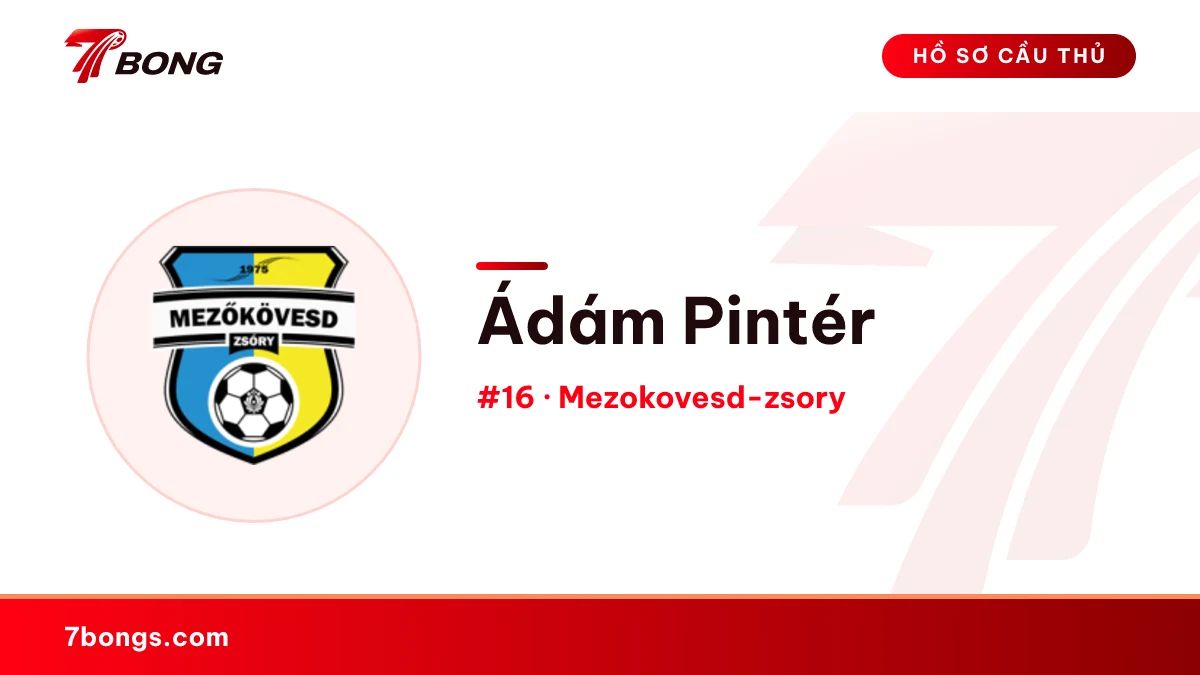 Ádám Pintér — Mezokovesd-zsory